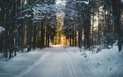 Warum wir im Herbst und Winter mehr Ruhe brauchen – und wie du deinen Energiepegel halten kannst